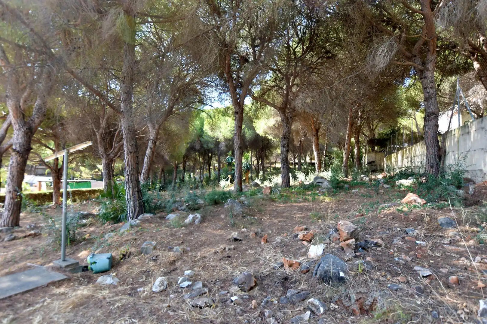 Jardí de Casa o xalet en venda en Alhaurín de la Torre amb Jardí privat, Terrassa i Piscina comunitària