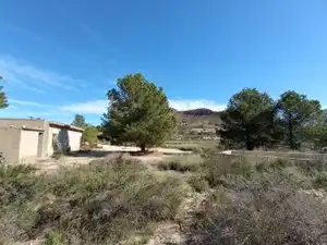 Finca rústica en venta en Alicante / Alacant con Piscina