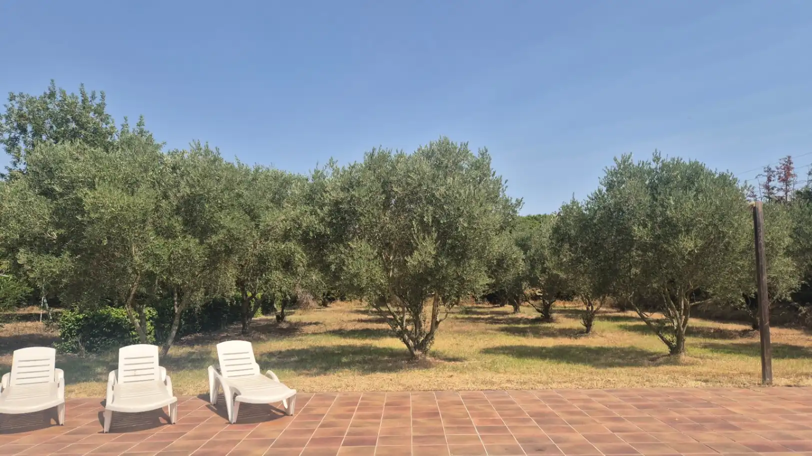 Jardí de Finca rústica en venda en Verges amb Calefacció, Jardí privat i Terrassa