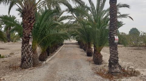 Foto 5 de Casa o xalet en venda a Carretera Virgen del Camino, 5, Granja de Rocamora, Alicante