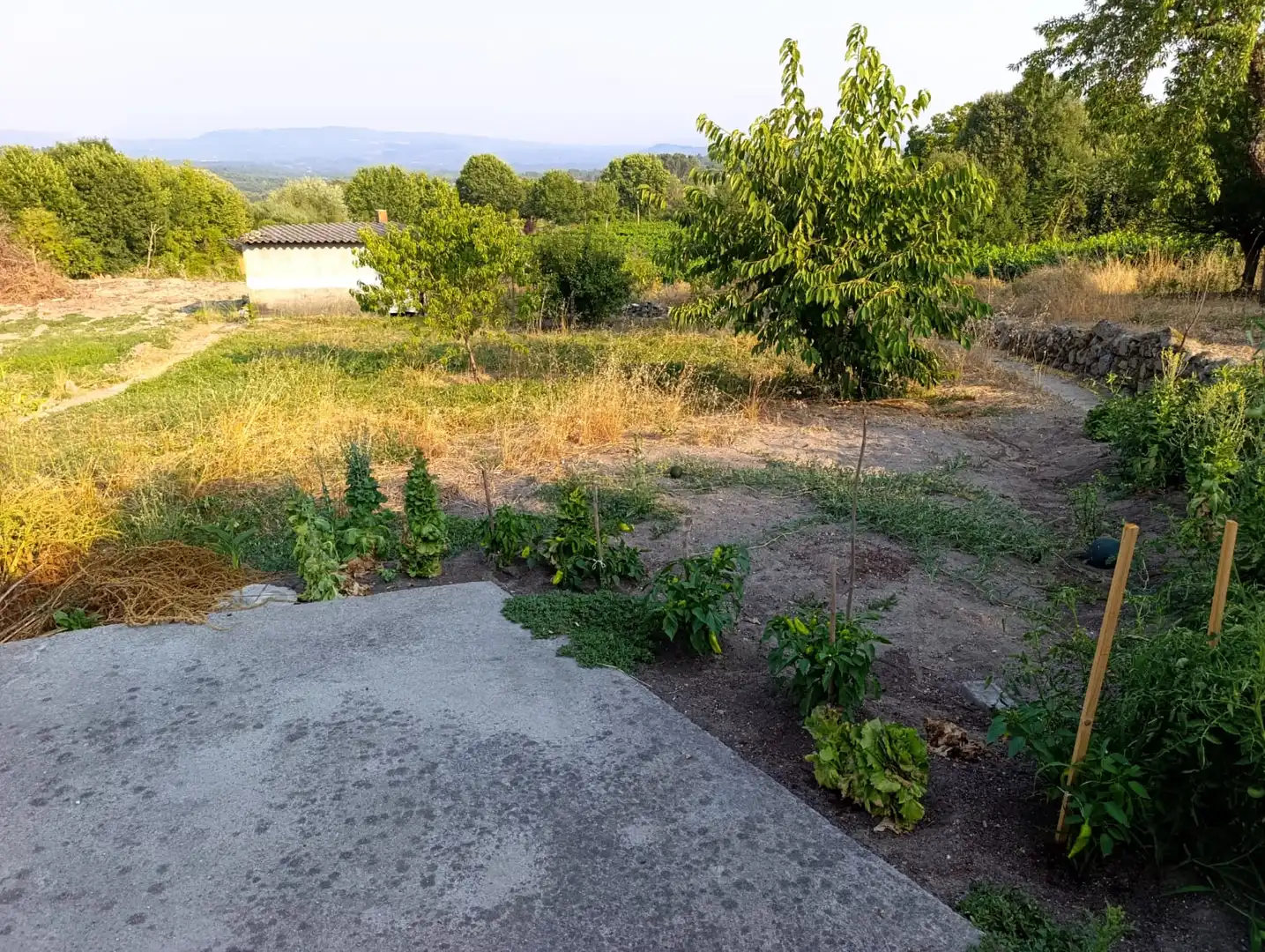 Casa amb jardí en venda a Pantón, imagen 10