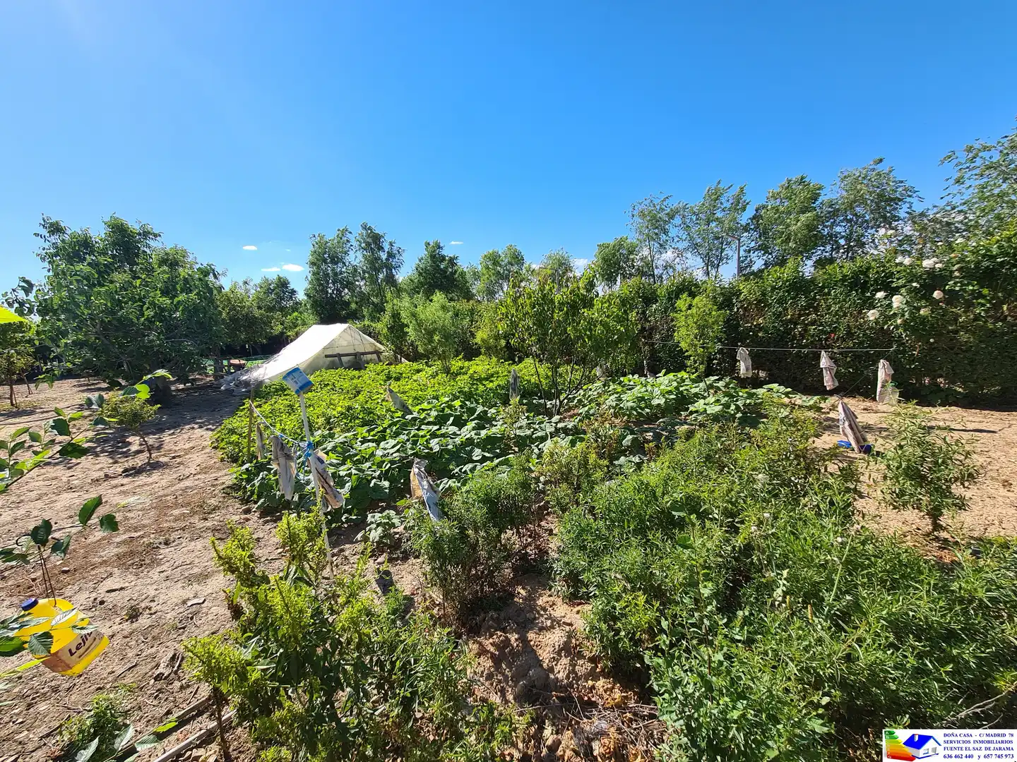 Jardín de Casa o chalet en venta en Fuente El Saz de Jarama con Aire acondicionado, Calefacción y Jardín privado