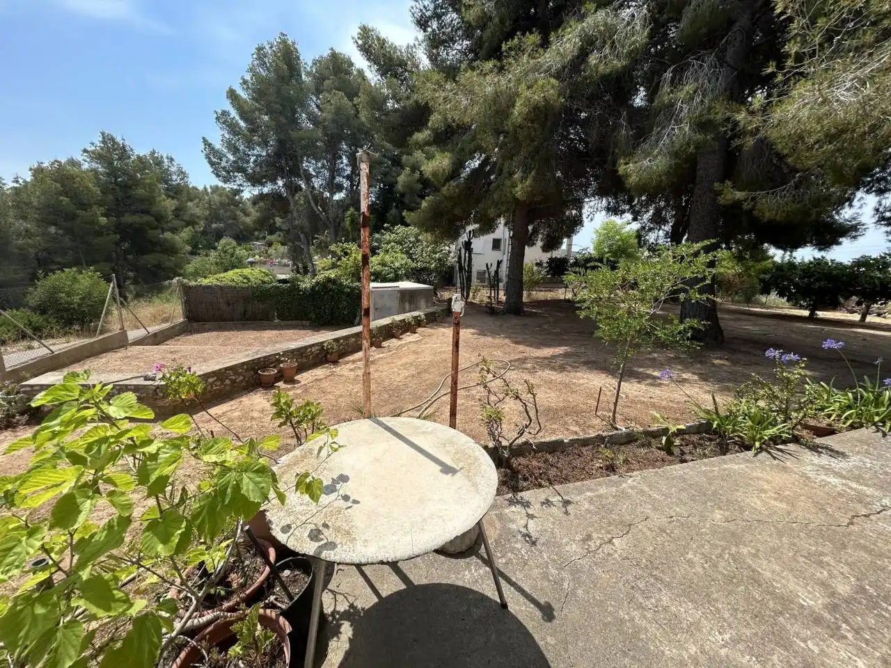 Rural land for sale in Calle Via lctea 34, imagen 12