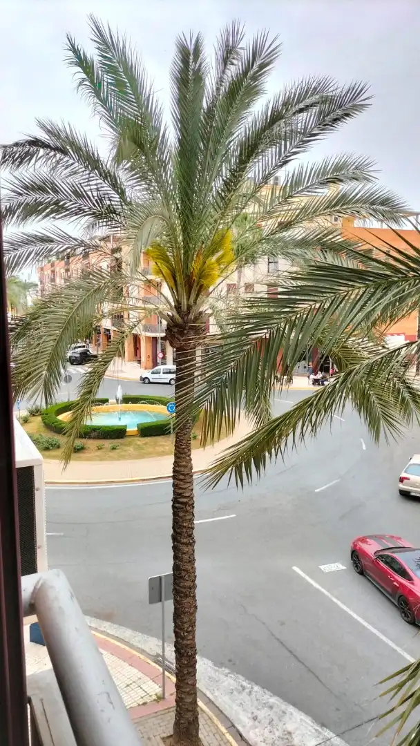 Vista exterior de Pis de lloguer en Alcalá de Guadaira amb Aire condicionat, Traster i Forn