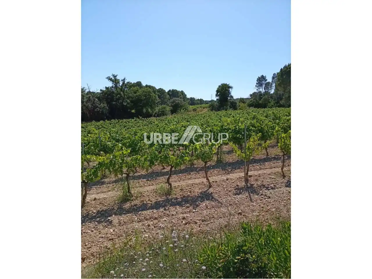 Detached homes for sale in Abrera  with Air Conditioner, Heating and Private garden