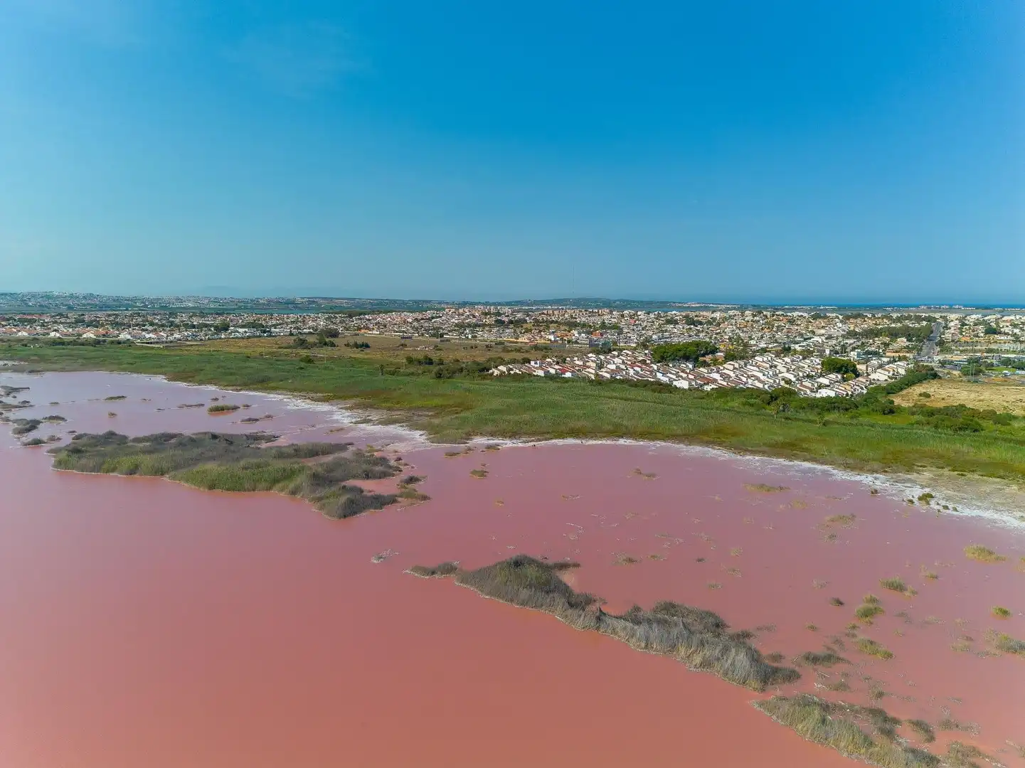 Vista exterior de Casa o xalet en venda en Torrevieja amb Aire condicionat, Jardí privat i Piscina