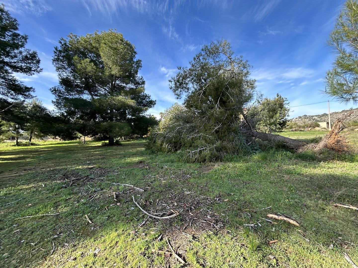 Residential for sale in Torrent