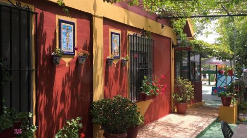 Foto 2 von Grundstücke zum Verkauf in Cercado Cortecillas , Poligono 5, Parce, Berrocal, Huelva
