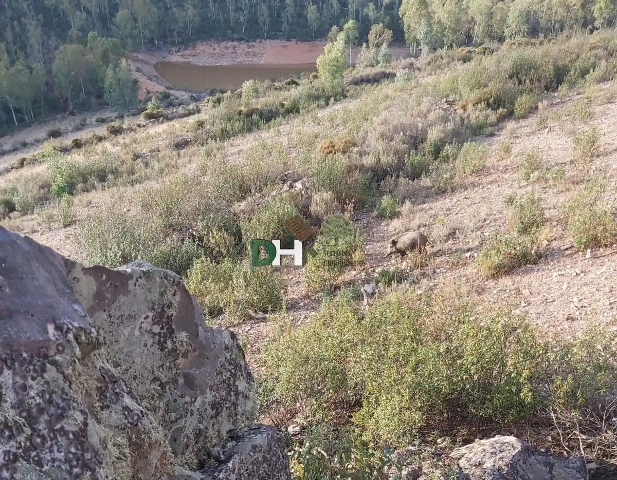 Terreni e lotti in vendita a San Roque - Ronda Norte, imagen 4