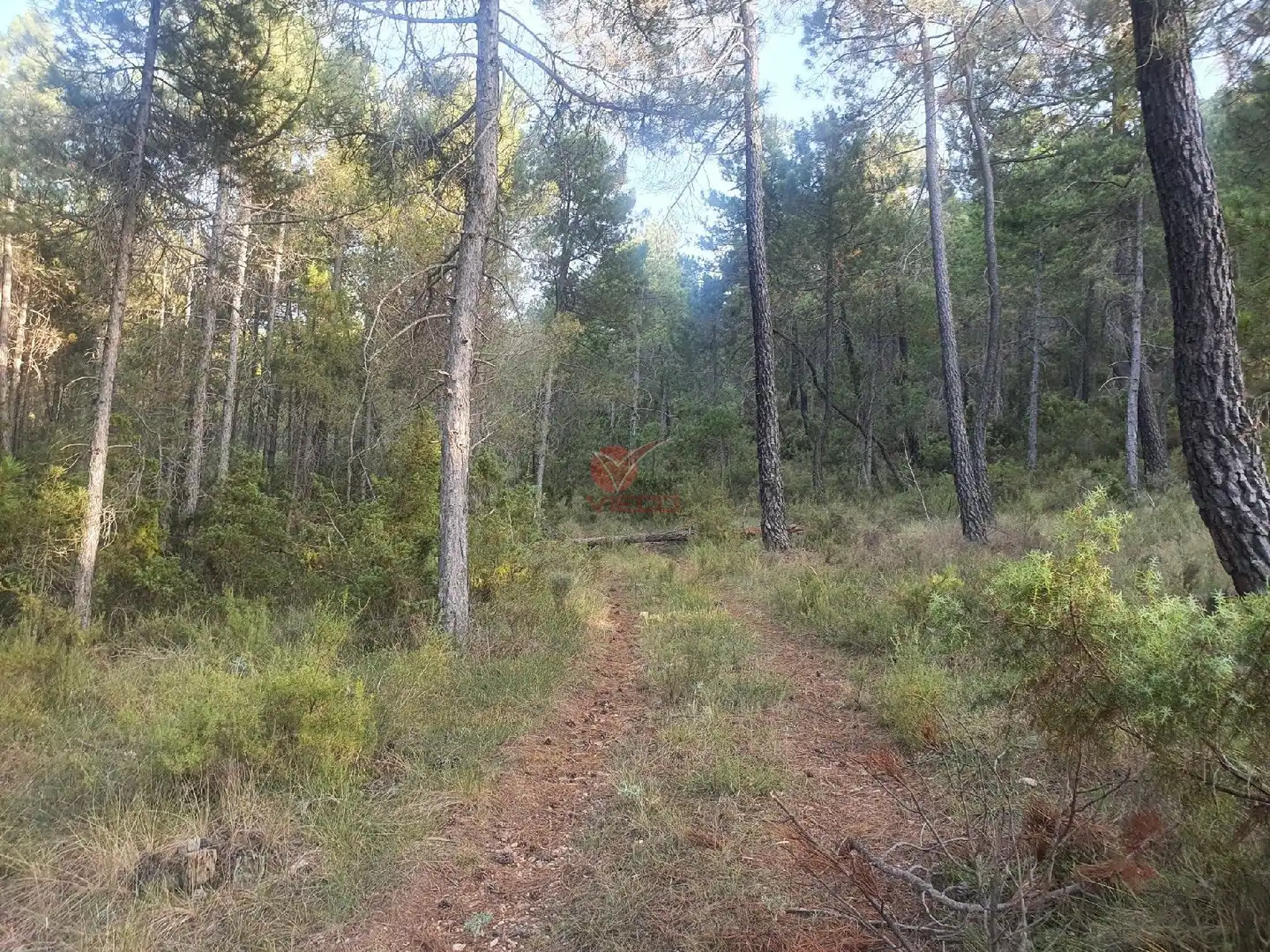 Terreni e lotti in vendita a JABAGA, CTRA. MADRID,, imagen 11