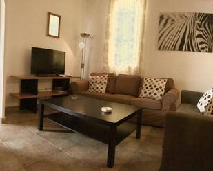 Living room of Flat for sale in  Madrid Capital  with Furnished, Oven and Washing machine