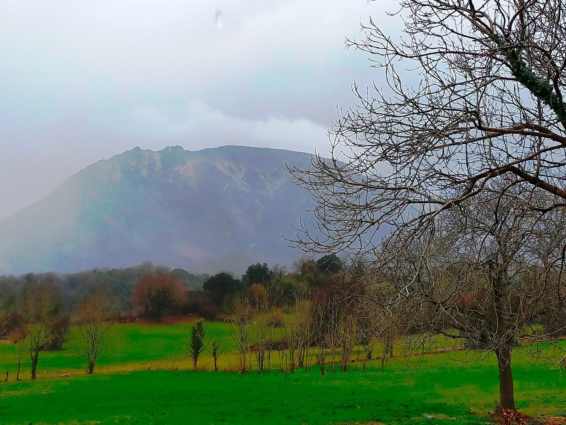 Vista exterior de Casa o chalet en venta en Salas con Jardín privado, Terraza y Trastero