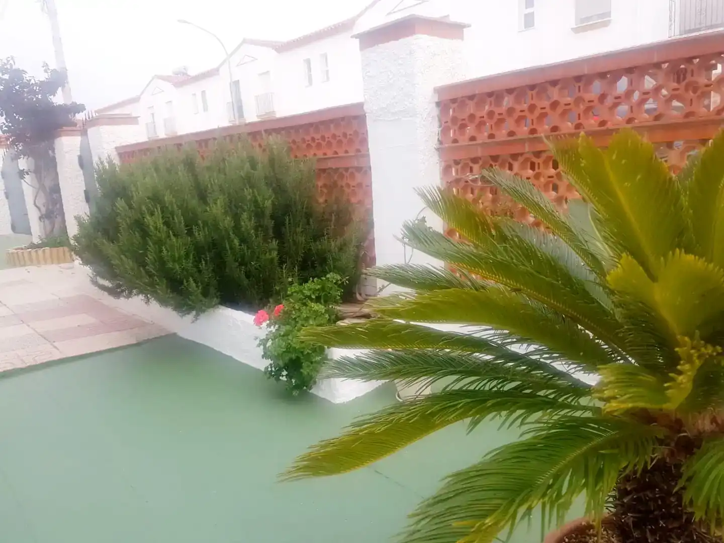 Jardí de Casa adosada de lloguer en Mazagón amb Jardí privat, Moblat i Forn
