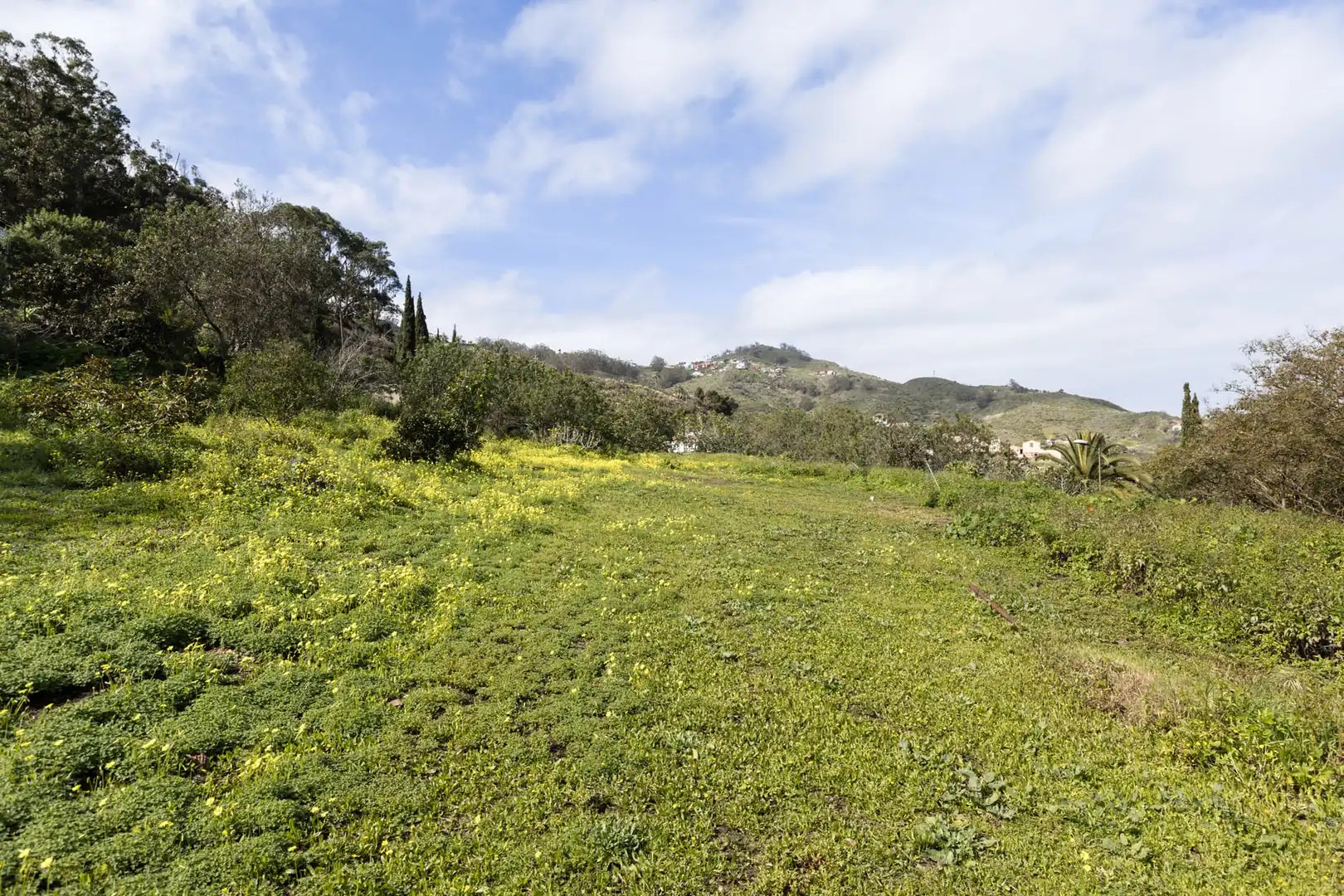 Finca rústica en venta en Tegueste con Jardín privado, Terraza y Horno