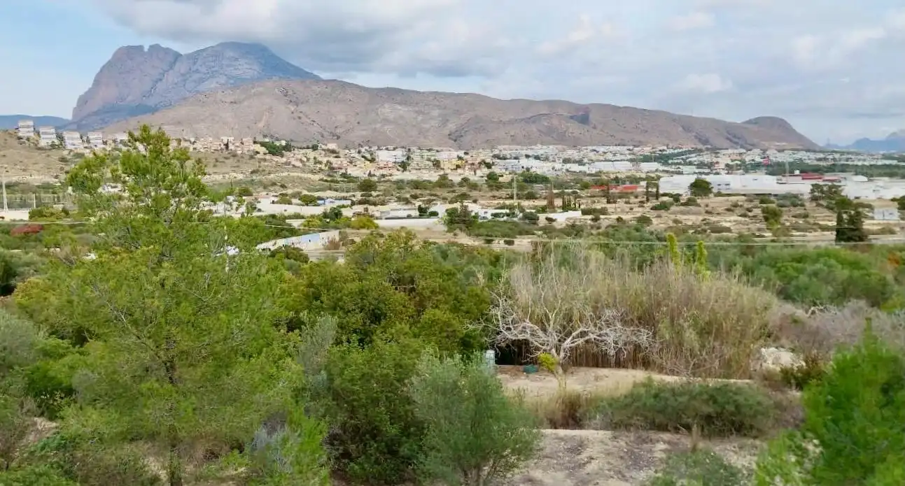 Terreno rustico in vendita a Platja de Torres, imagen 19