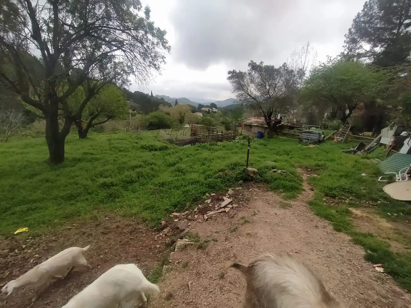 Wohnbaugrundstück zum Verkauf in Carretera Corbera a Gelida 83, imagen 7