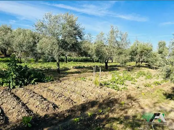 Terreni e lotti in vendita a Baeza, imagen 9