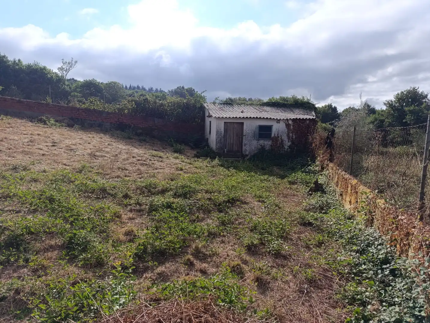 Finca rústica en venda en O Saviñao  amb Jardí privat i Traster