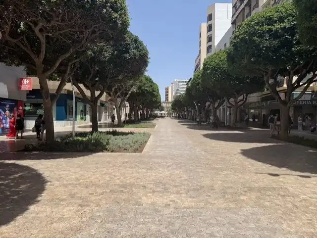 Piso con ascensor en venta en Paseo de Almería, imagen 40