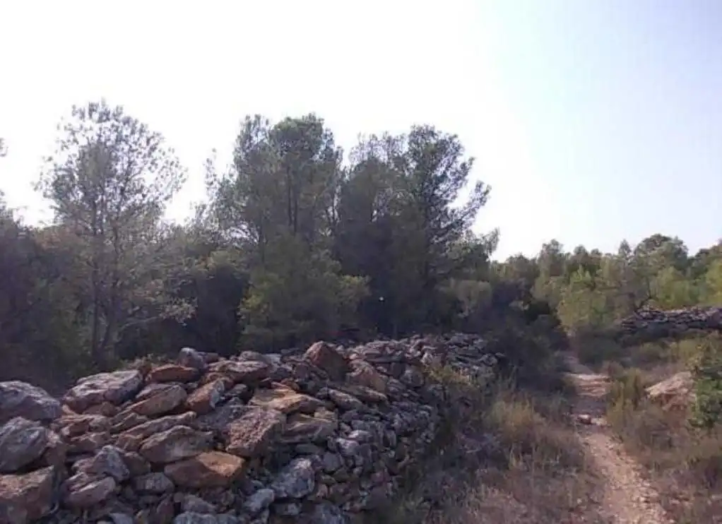 Terrain rustique à vendre à PUNTA ALTA, imagen 4