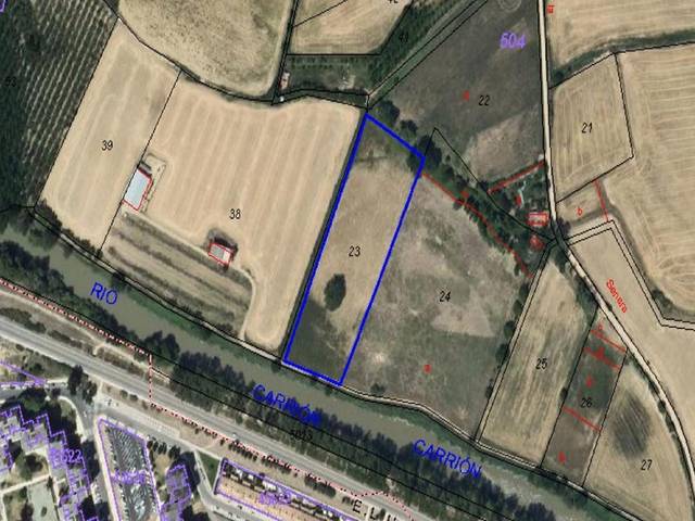 Terreno en Venta en Villamuriel de Cerrato