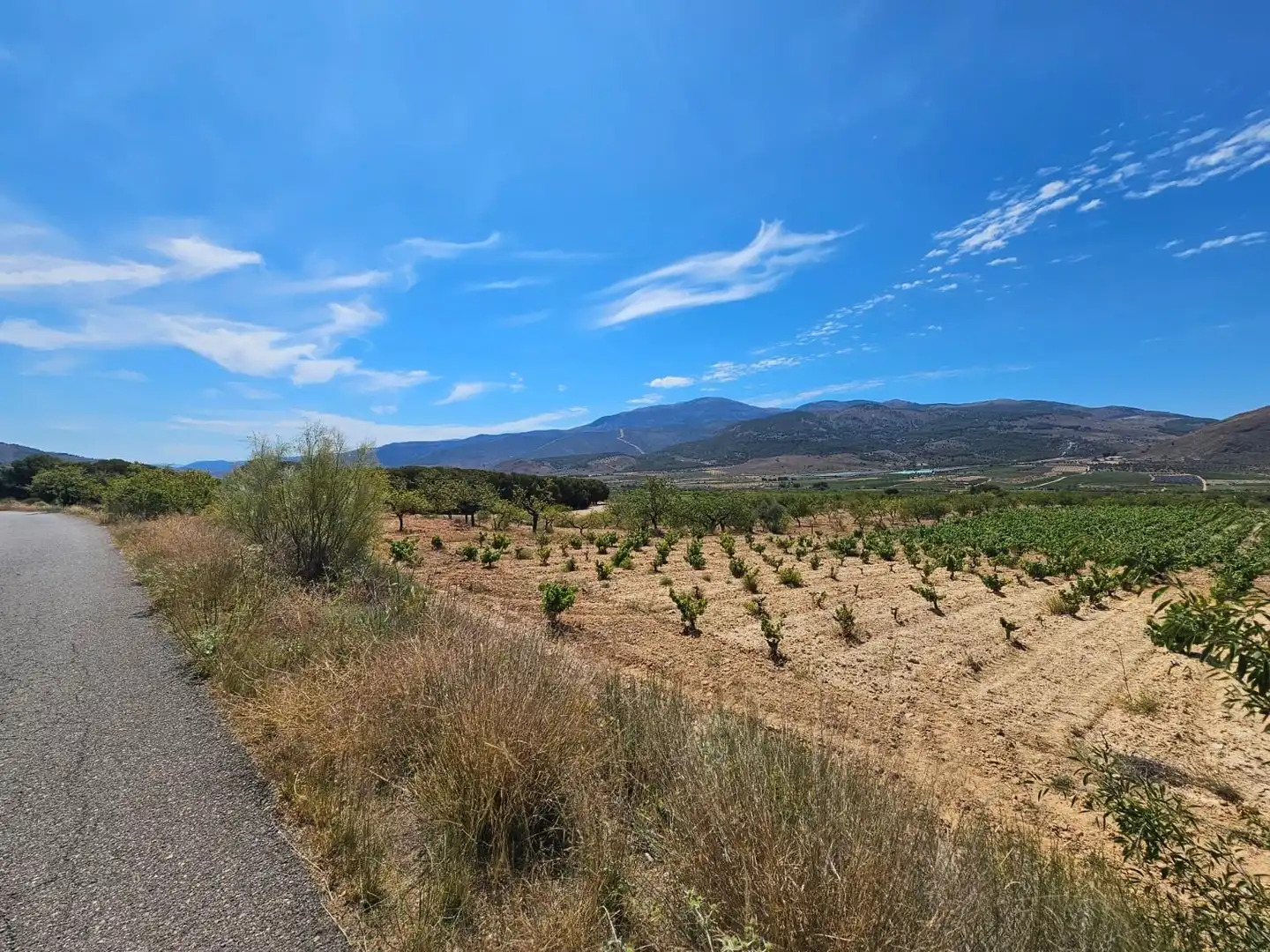 Finca rústica en venta en Laujar de Andarax