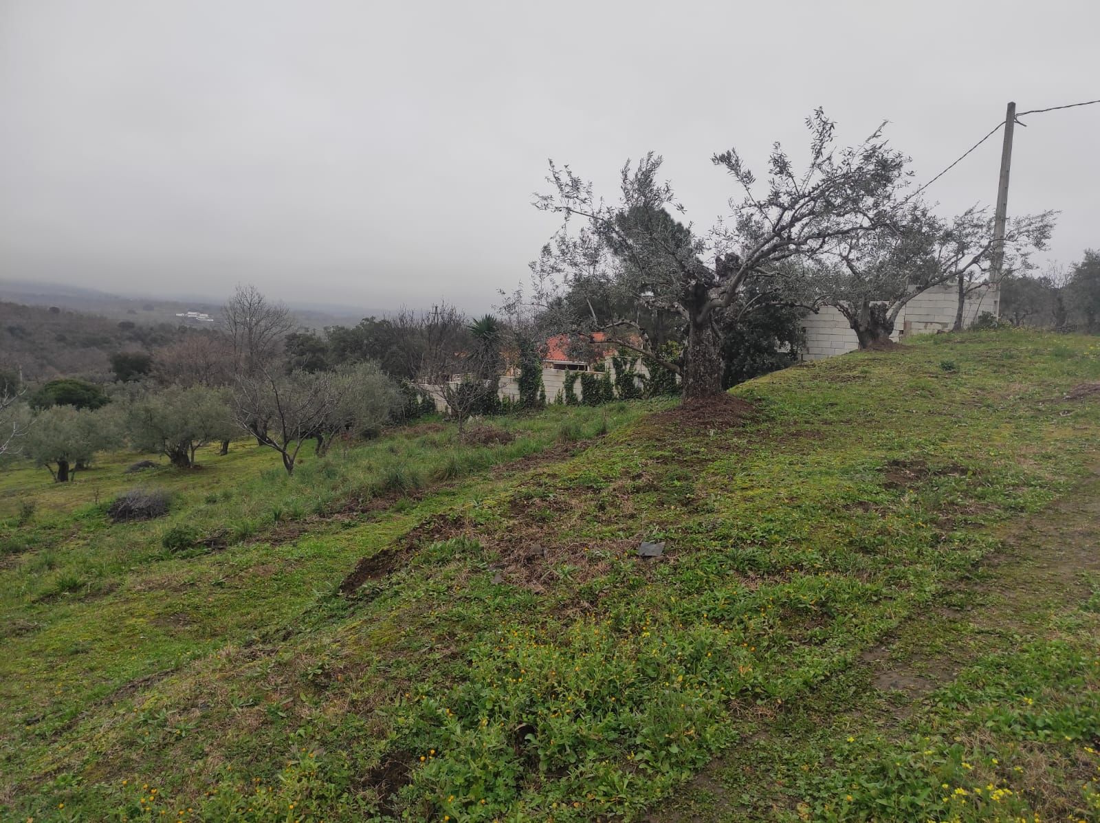 Land for sale in Plasencia