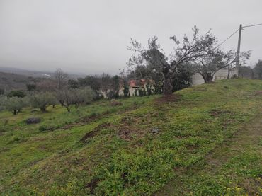 Terrain rustique à vendre à Calle Virgen Puerto 20