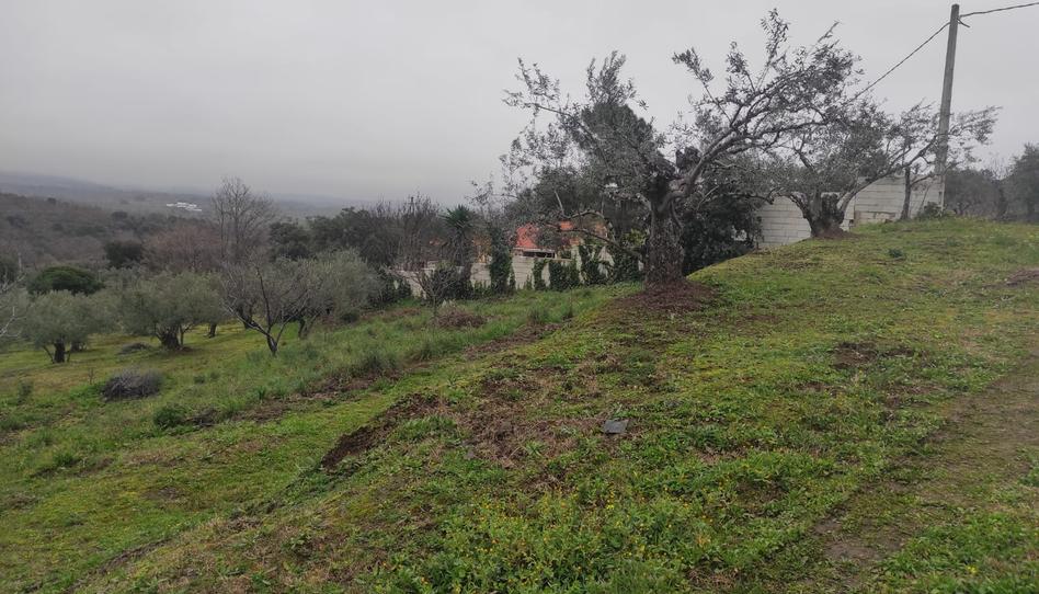 Photo 1 of Land for sale in Calle Virgen Puerto, 20, Miralvalle - Av. Virgen del Puerto - La Data, Cáceres