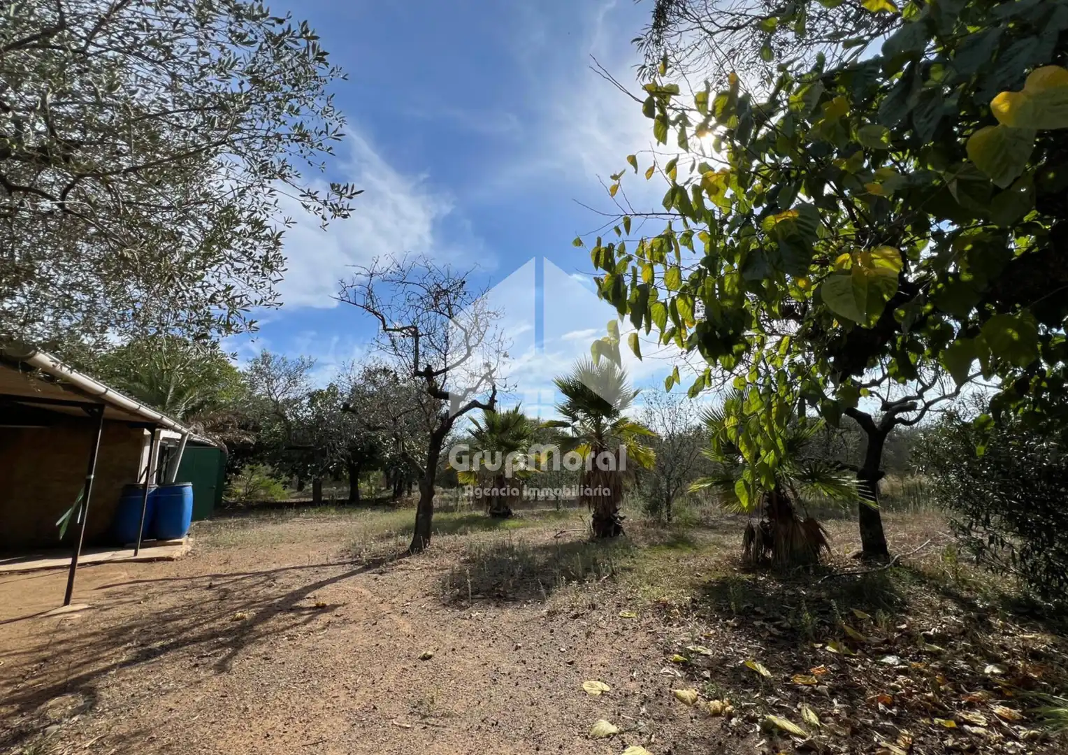 Terreno en venta en La Selva del Camp, Tarragona