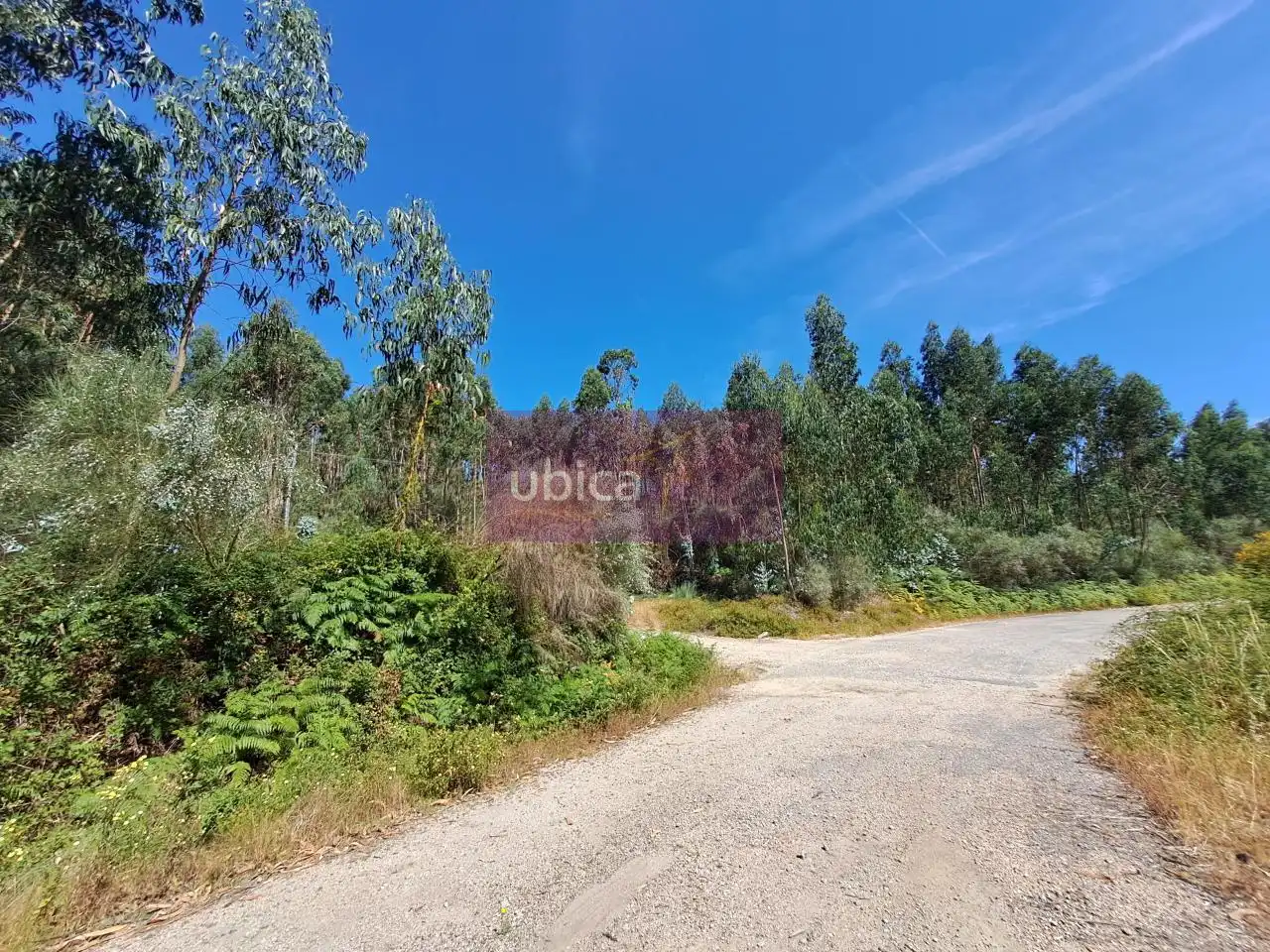 Rural land for sale in As Neves