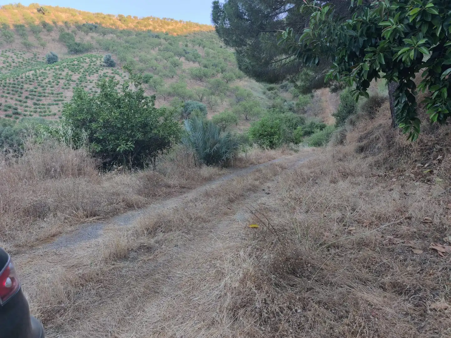 Terrenys i solars en venda a Colmenar, imagen 35