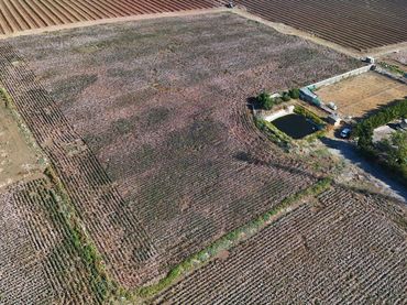 Terreni e lotti in vendita a Las Cabezas de San Juan