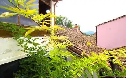 Vista exterior de Casa o chalet en venta en Arenas de Iguña