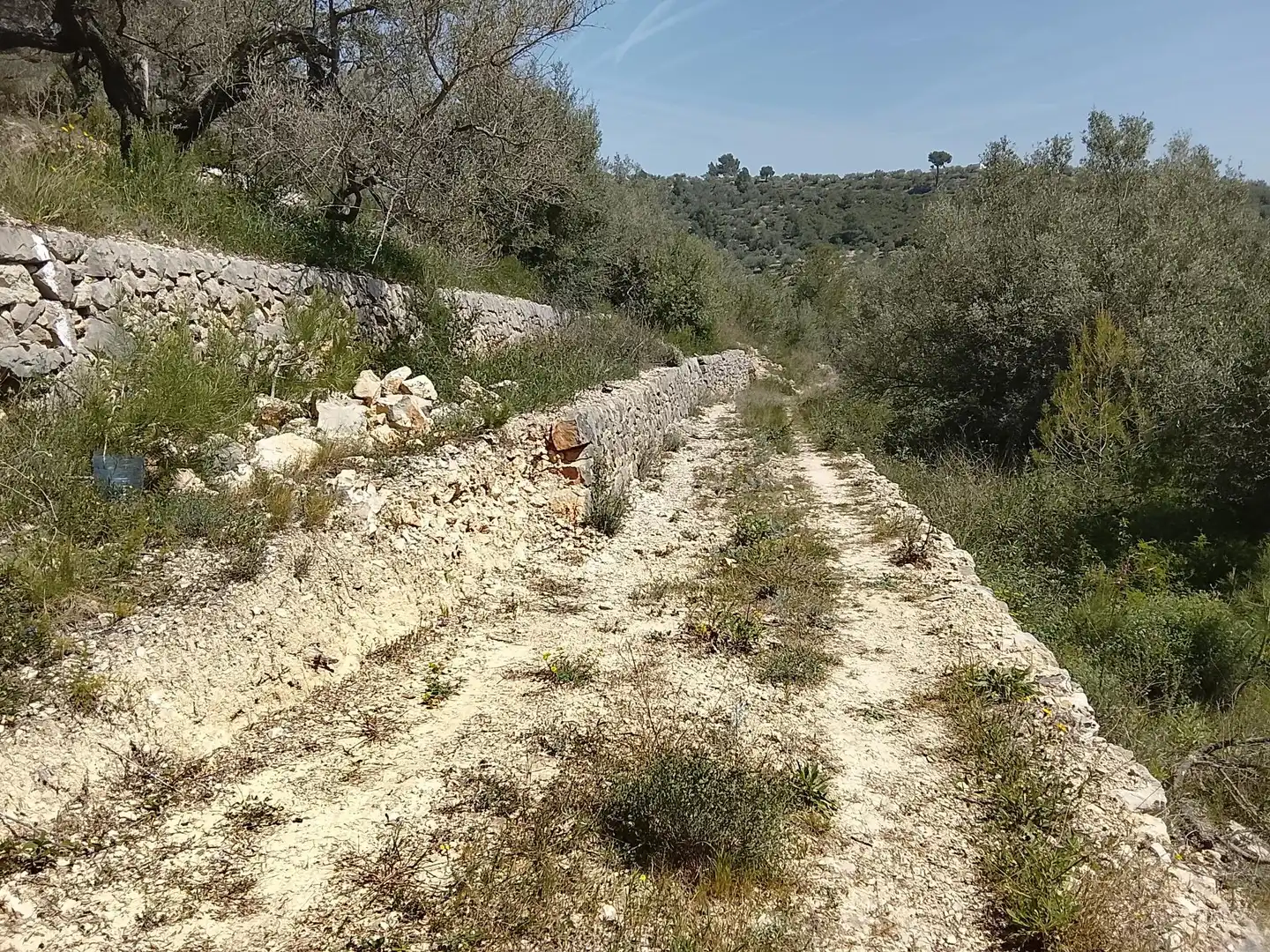 Maison rustique à vendre à Camí de la Finca del Governador, imagen 13