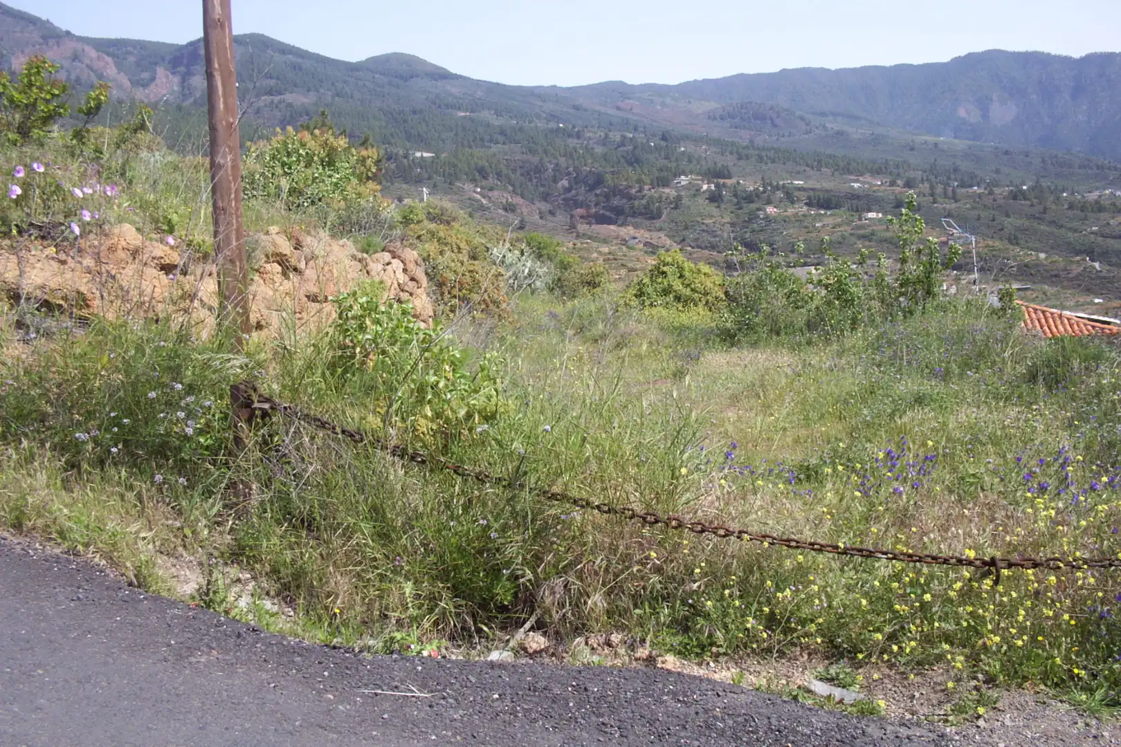 Rural land for sale in Calle Galván, imagen 2