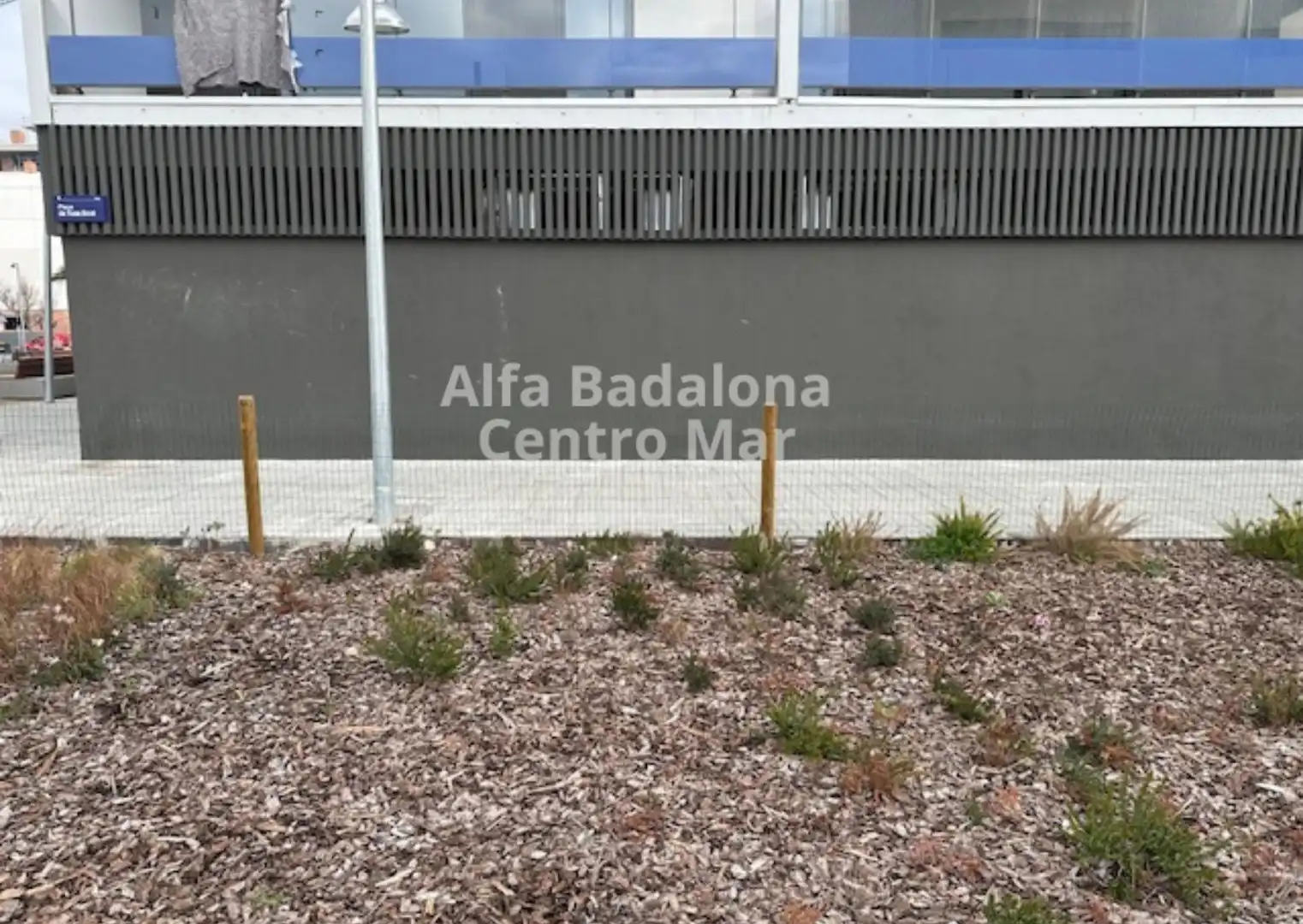 Local comercial de lloguer a Port, imagen 15