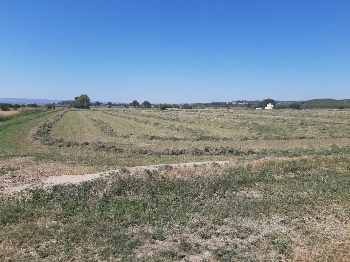 Grundstücke zum Verkauf in Zaragoza