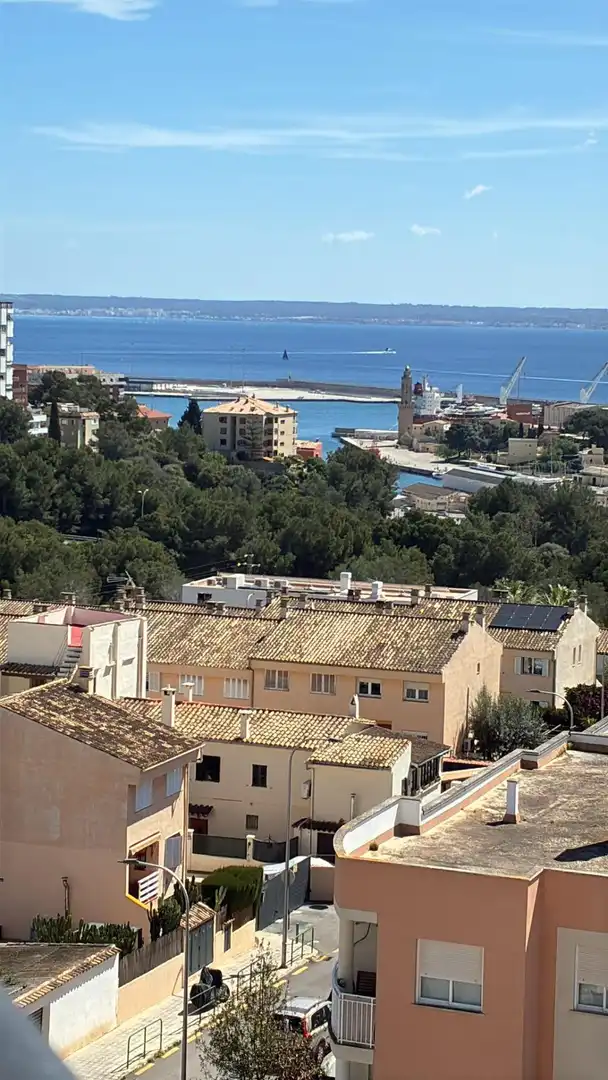 Außenansicht von Dachboden zum Verkauf in  Palma de Mallorca mit Terrasse und Gemeinschaftspool