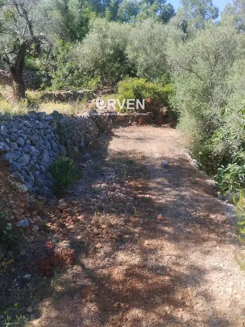 Rural land for sale in Carretera T-240 s/n, imagen 11