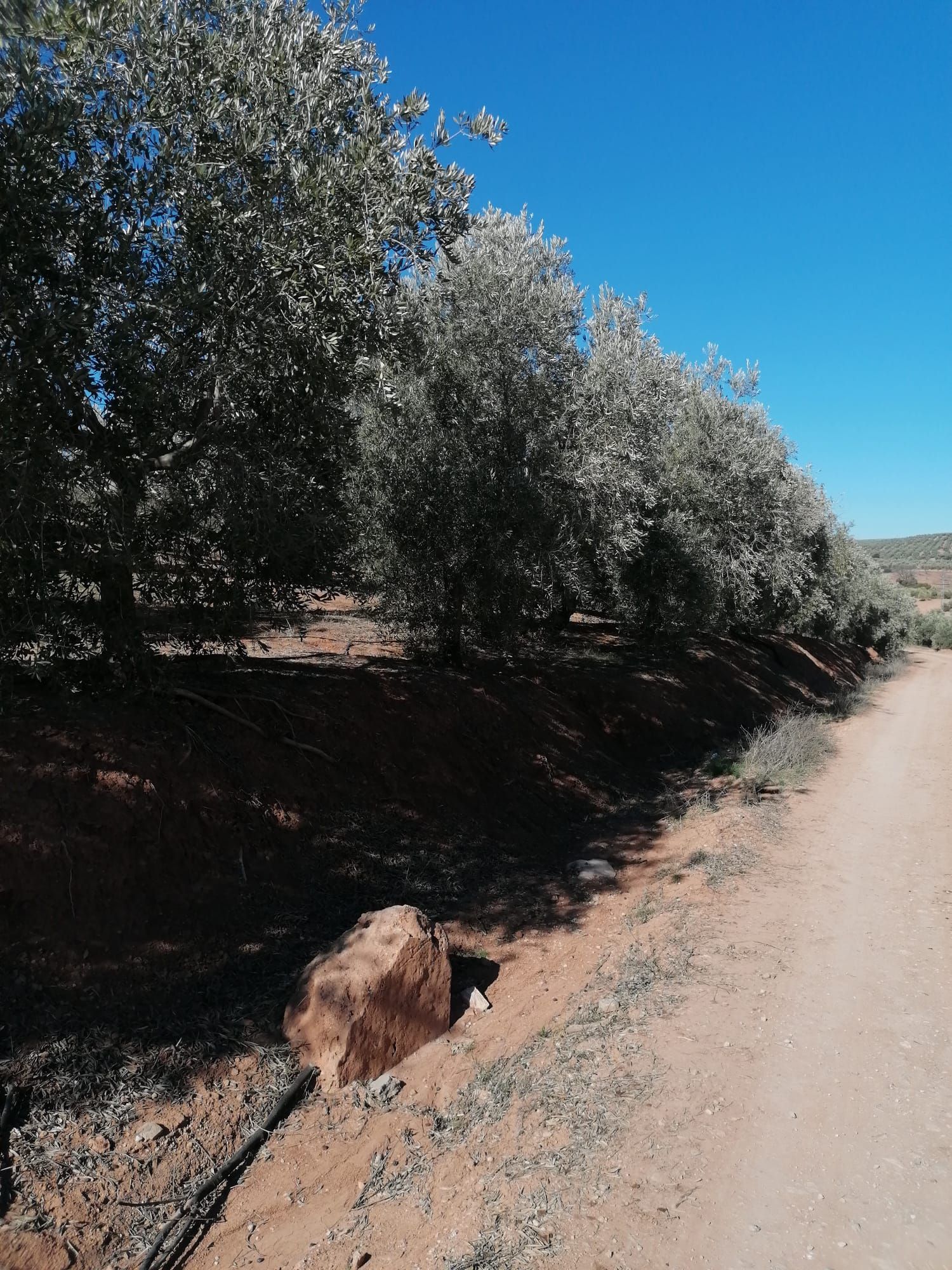 Land for sale in  Sevilla Capital