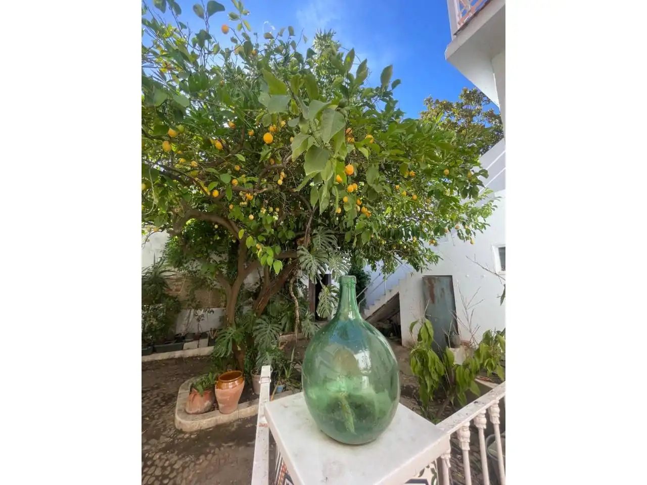Jardín de Casa o chalet en venta en Don Benito con Aire acondicionado, Calefacción y Jardín privado