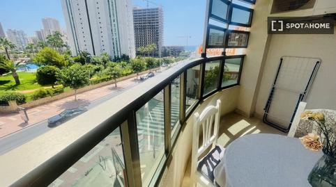 Foto 2 de Estudi per a compartir a Alitana - Casablanca, Alicante