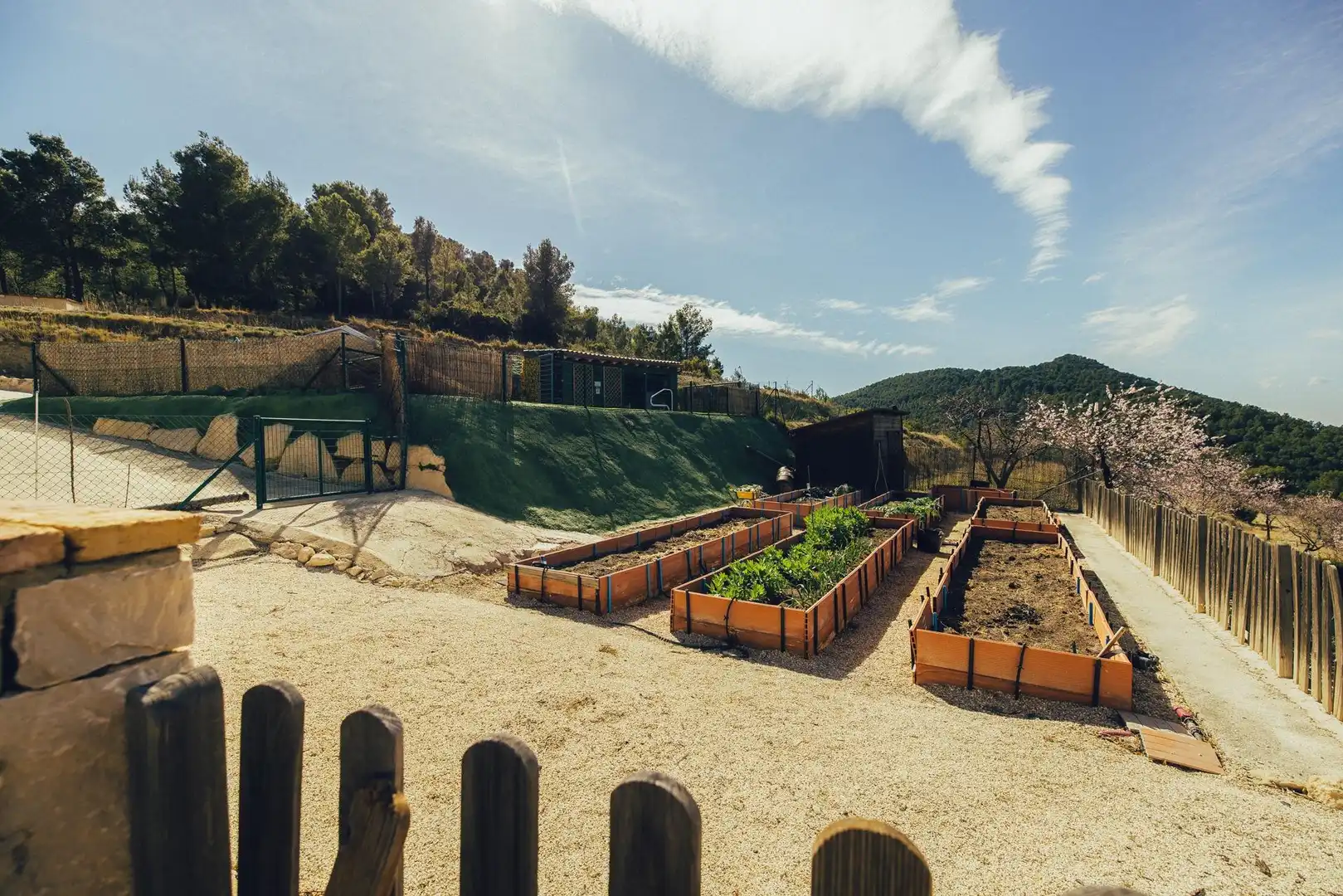 Jardí de Finca rústica en venda en Torremanzanas / La Torre de les Maçanes amb Jardí privat, Terrassa i Traster