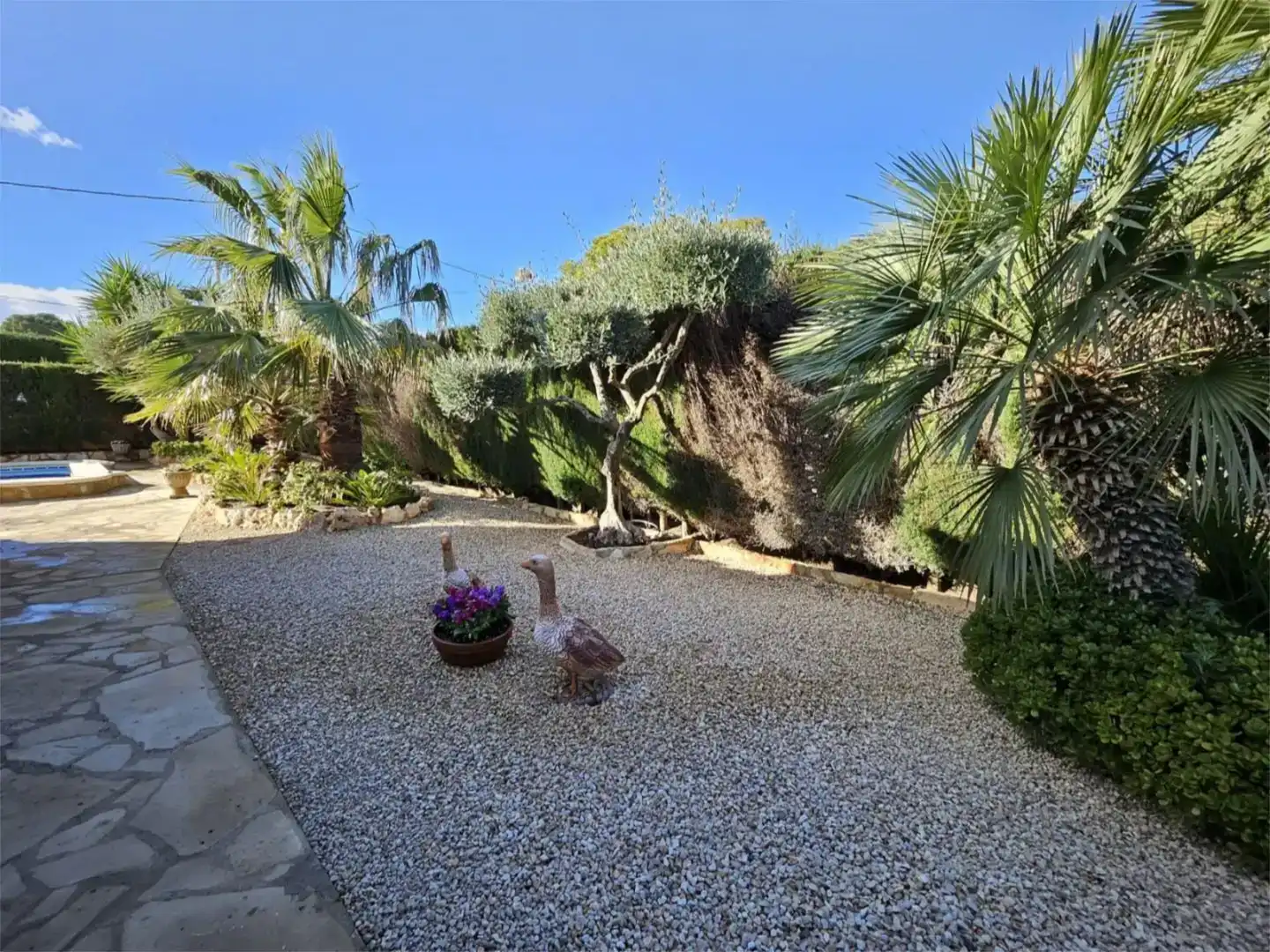 Jardí de Pis en venda en L'Ametlla de Mar  amb Aire condicionat, Jardí privat i Traster