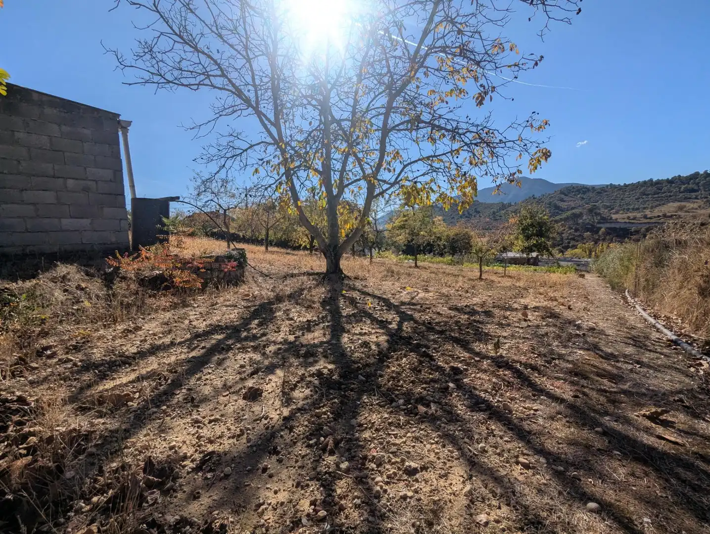 Terreno rustico in vendita a Estella / Lizarra, imagen 7