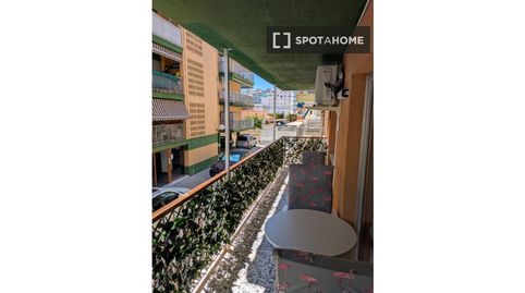 Foto 2 de Piso de alquiler en Playa de Gandia, Gandia