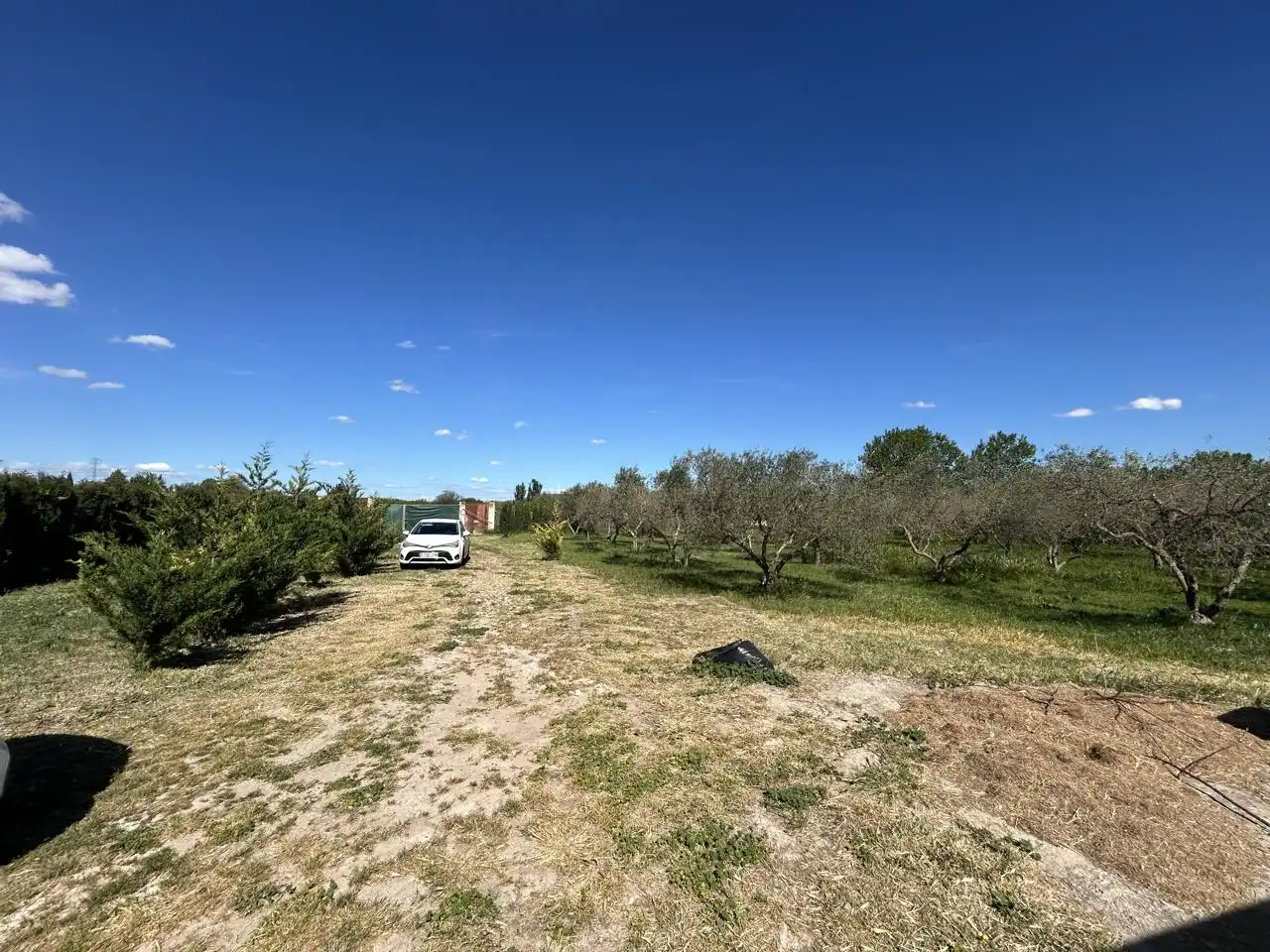 Finca rústica en venta en Tudela