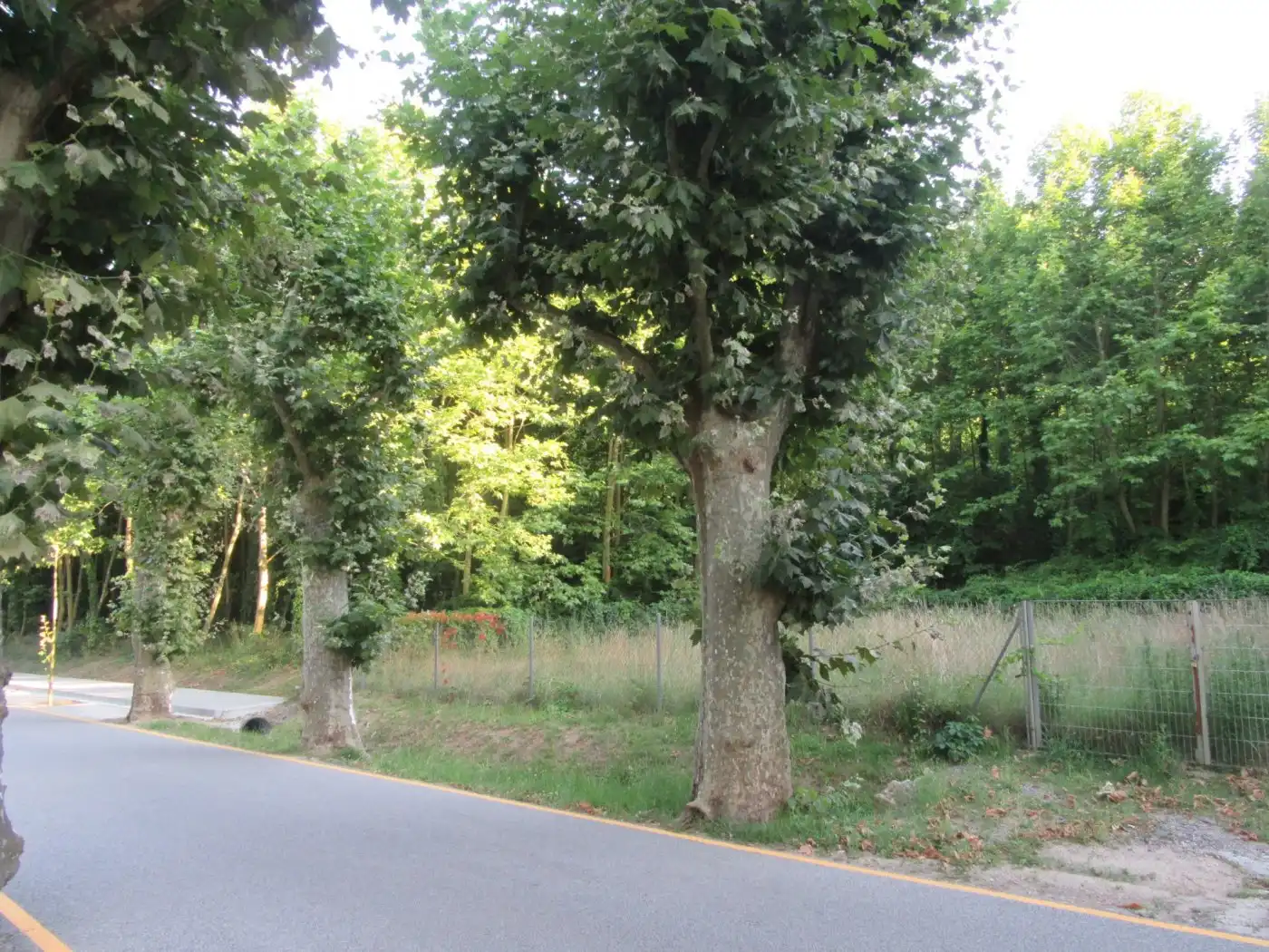 Terreno residencial en venta en Gualba, imagen 8