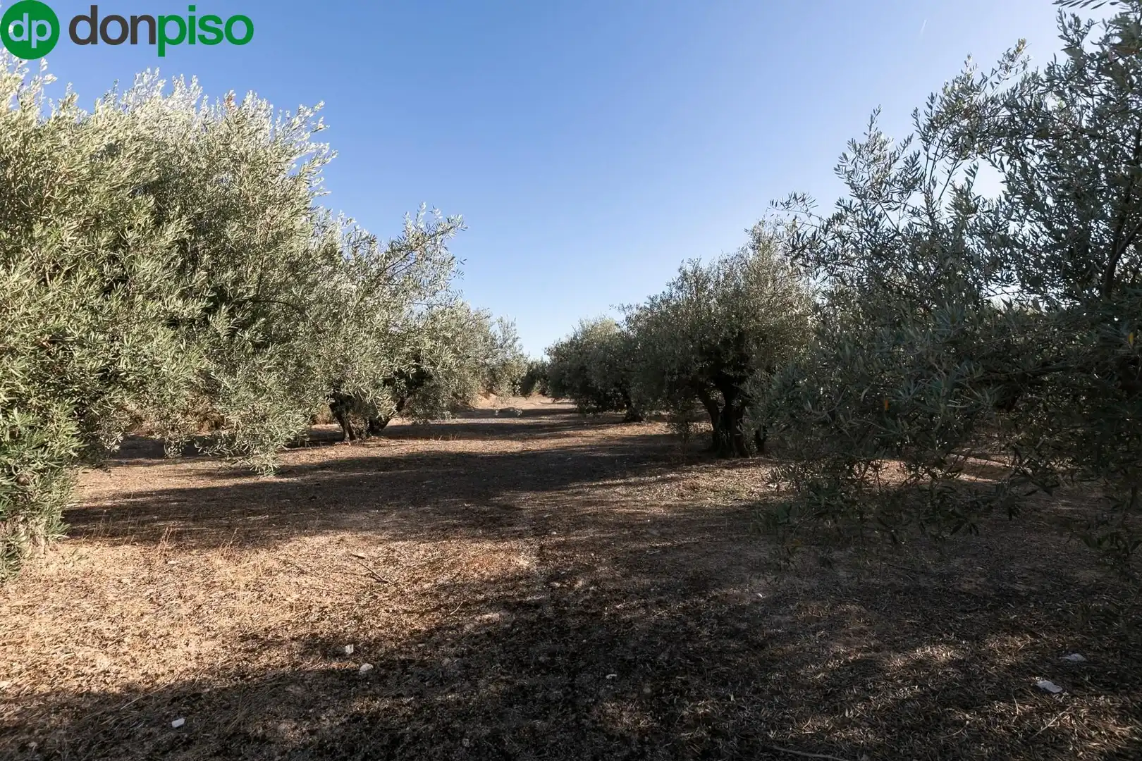 Terreno residencial en venta en Calle LOS JUNCOS, imagen 26